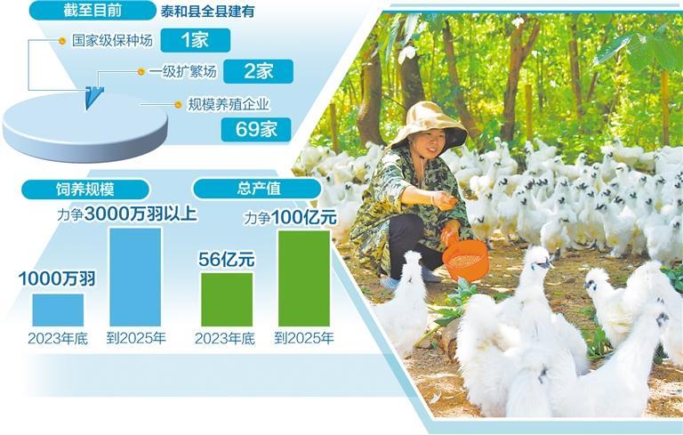 江西泰和打造百亿元级乌鸡产业